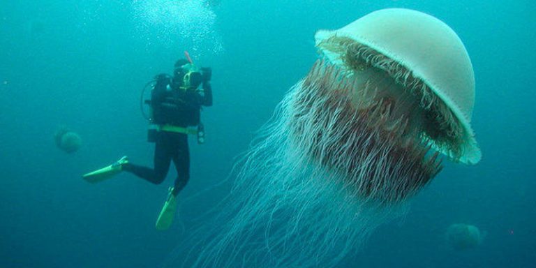 Diese 12 Unglaublichen Fotos Zeigen Die Wahre Größe Der Dinge - Wundaba