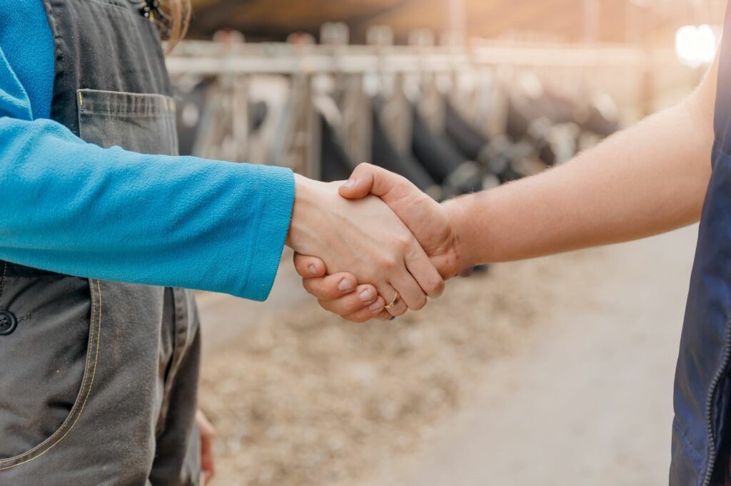 Dieses Bild hat ein leeres Alt-Attribut. Der Dateiname ist shutterstock_2476040363-1024x682.jpg